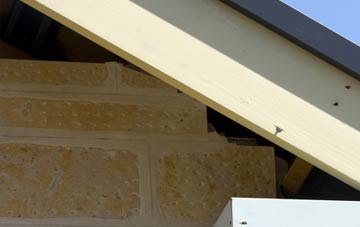 soffit repair Cupid Green